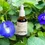 Thumbnail: Prairie Doctor Butterfly Pea Herbal Tincture