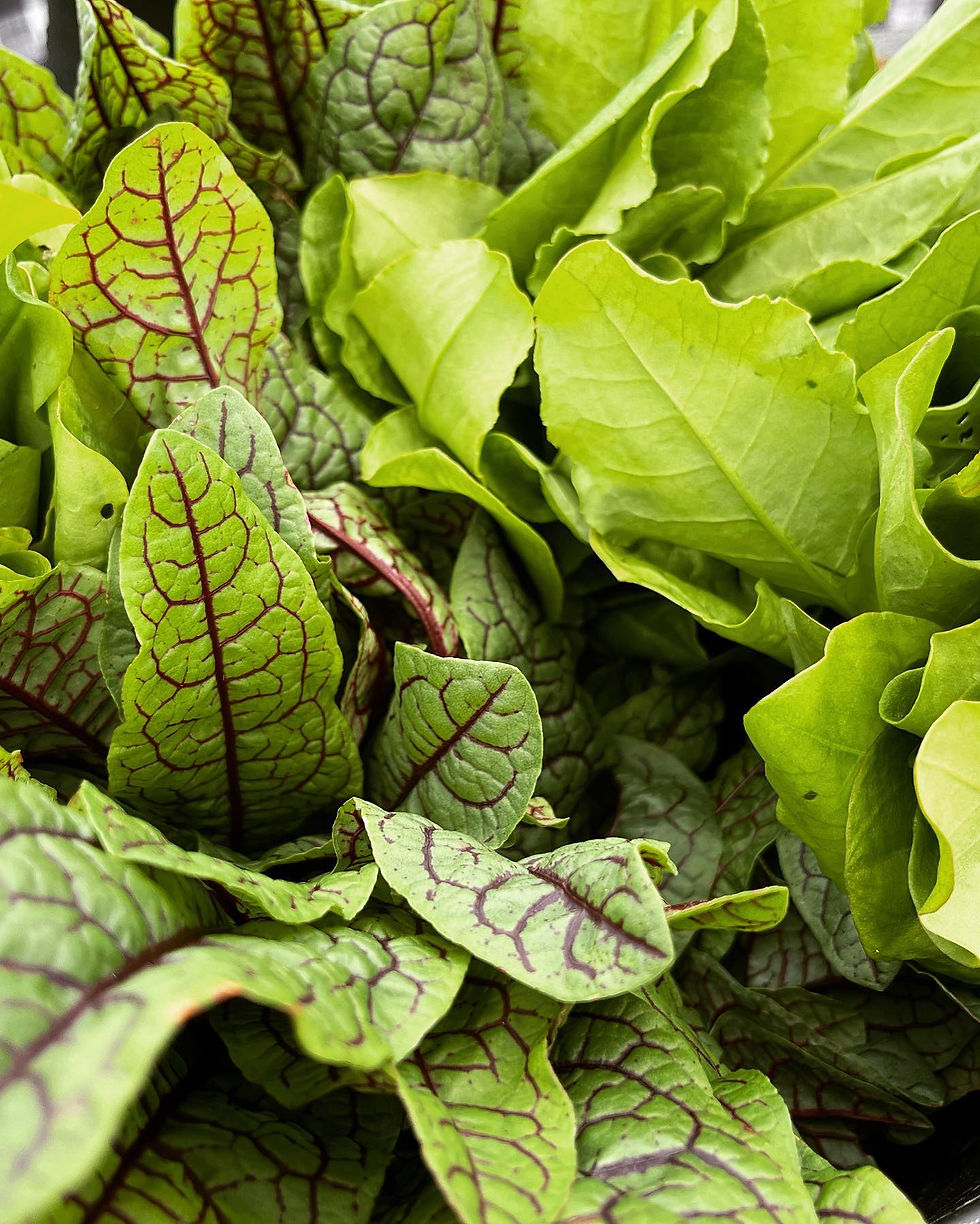 leafy green vegetables