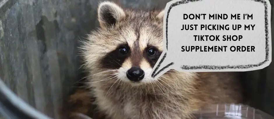 Raccoon in a trash can saying "don't mind me I'm just picking up my TikTok shop supplement order