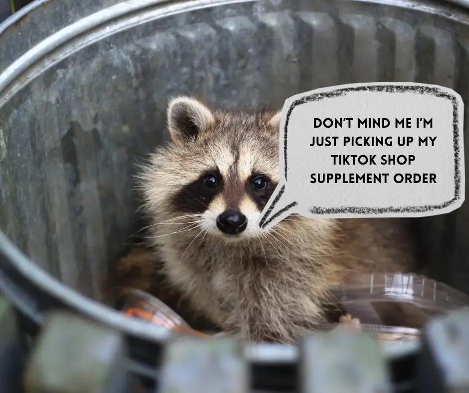Raccoon in a trash can saying "don't mind me I'm just picking up my TikTok shop supplement order