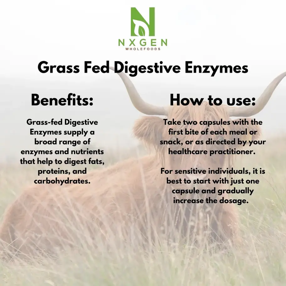 NXGEN Wholefoods Grass Fed Digestive Enzymes suggested use