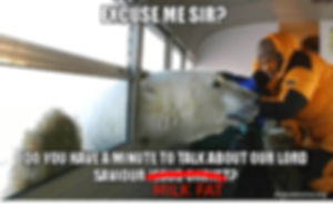 pasted image 0 (3) (1).png