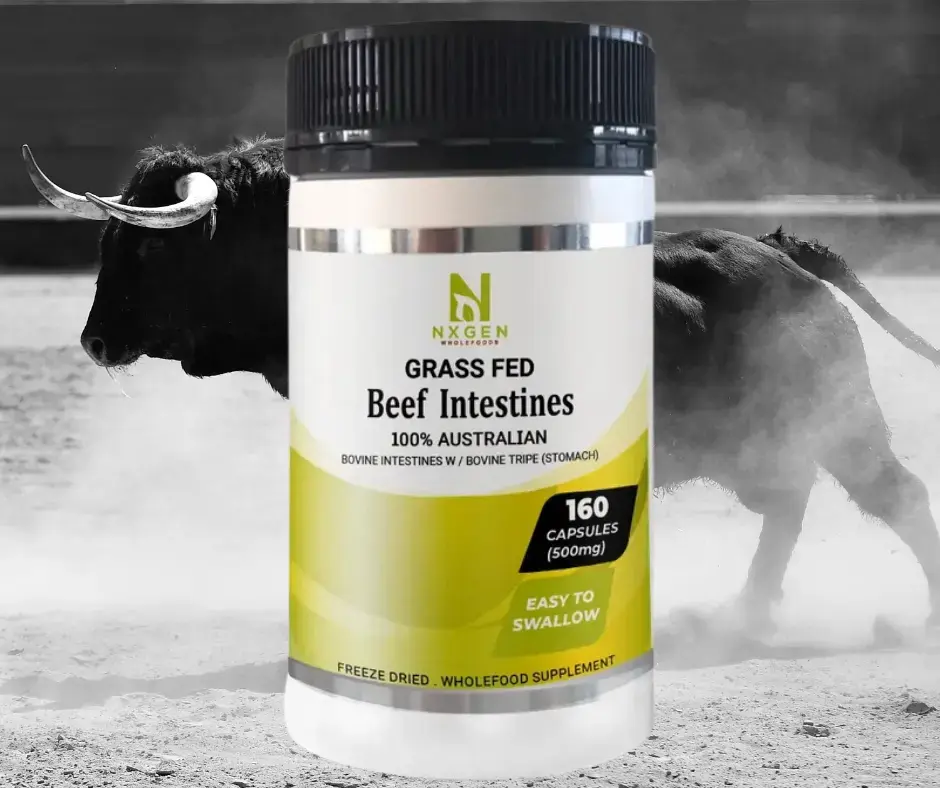 NXGEN Wholefoods Beef Intestines with Tripe