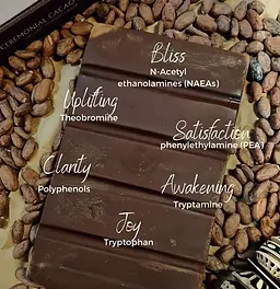 cacao benefits