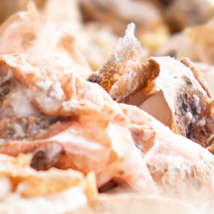 Tocosh - The Ancient Andean Food That's A Probiotic Powerhouse