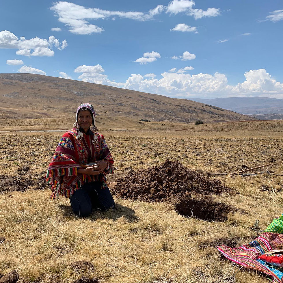 Maca farmer in Peru