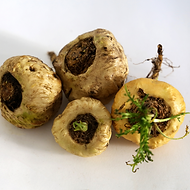 Yellow Maca