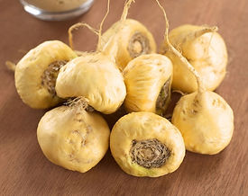 Yellow Maca