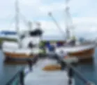 Rosita Cod Liver Oil Fishing Boat