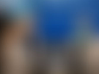 Mastering Decision-Making for Executive Success