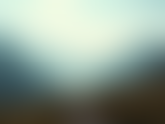 Strategies for Elevating Your Career Position