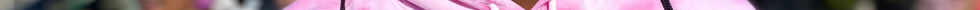 pexels-cottonbro-5771803_5.jpg
