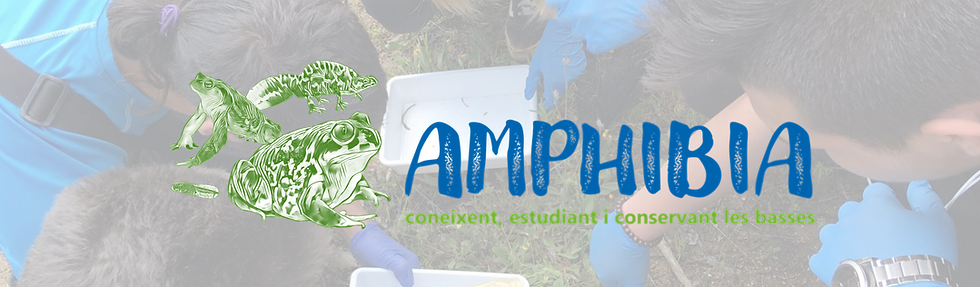 Servei comunitari Amphibia