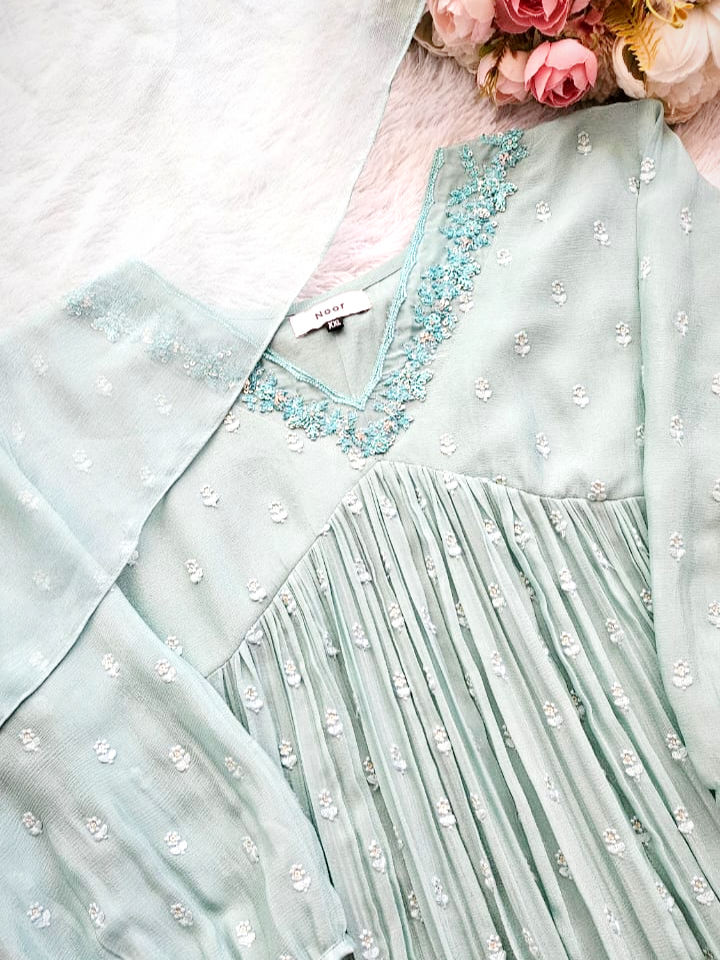 HN120 - Hand Embroidered Chinnon Top with Dupatta