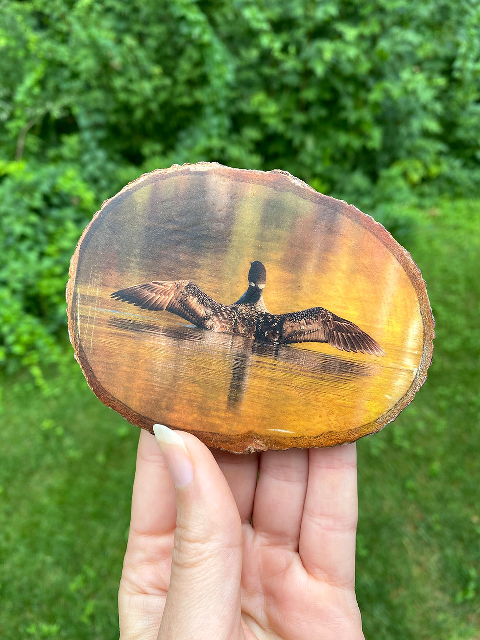 Thumbnail: Coasters - Birds 2