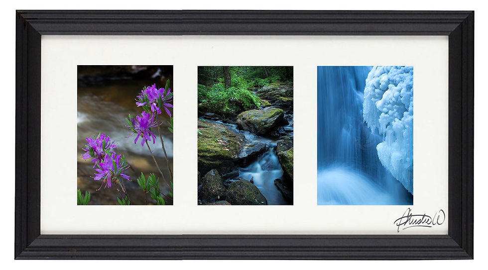 Seasonal Waters Trio