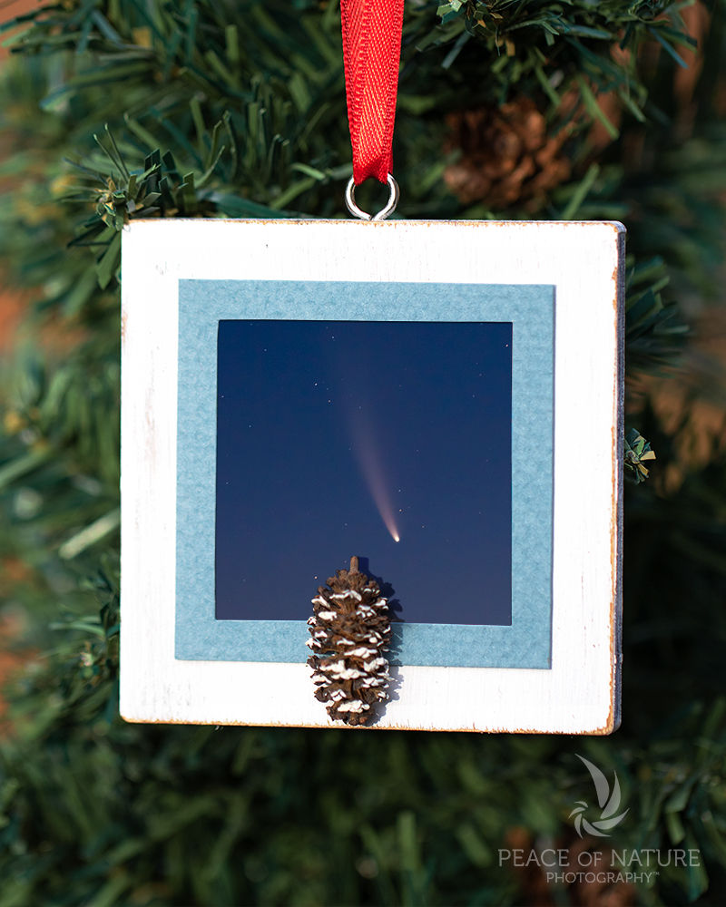 Thumbnail: Ornament - Neowise at Dawn