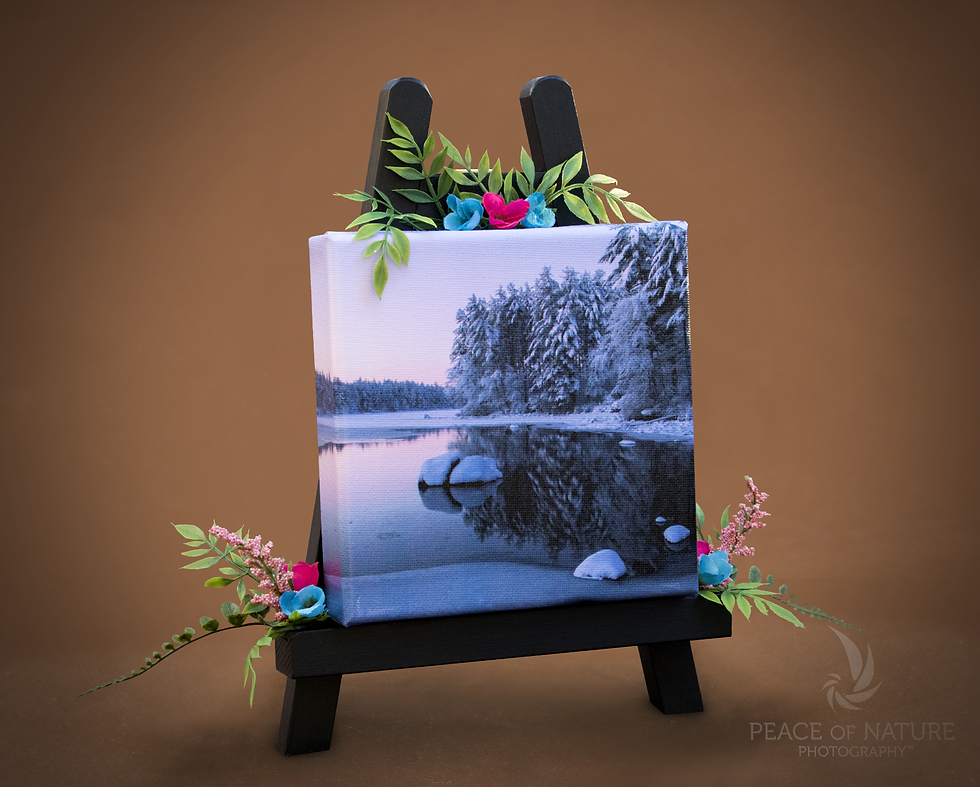 Winter, Art, Craft, Nature, Lake, New Hampshire, Unique, Easel