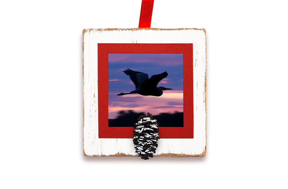 Ornament - Rhythm of the Night