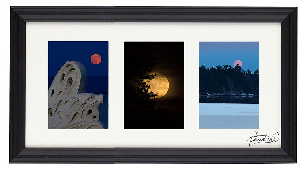 Seasonal Full Moons Trio