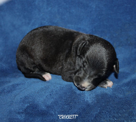 IMG_4747.JPG