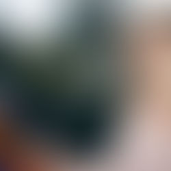 What to Look for in a Business Bank Account