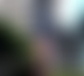 Das exceções à impenhorabilidade do bem de família