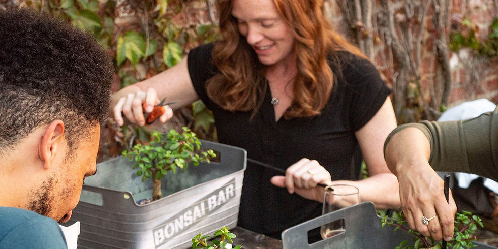 Bonsai Workshop @ LauderAle Brewery