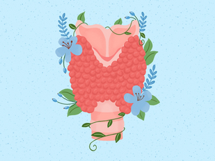 Hypothyroïdie fonctionnelle : fatigue, digesiton, troubles hormonaux