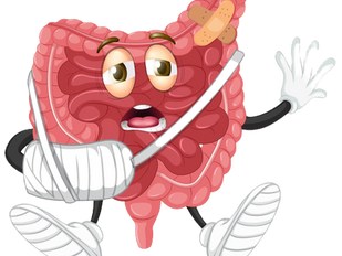 Troubles digestifs chroniques : comprendre les causes cachées quand les examens sont "normaux". Et si c'était un SIBO, une candidose, une dysbiose ?