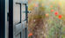 Door opening to a field of flowers