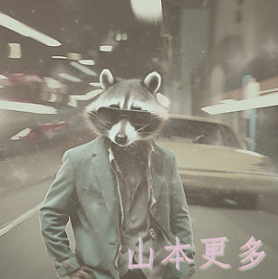 浣熊，駕駛