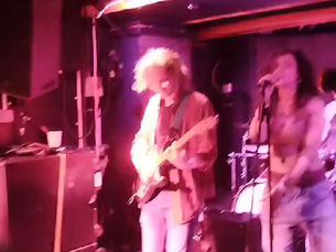 Dead Oak Footage 2024