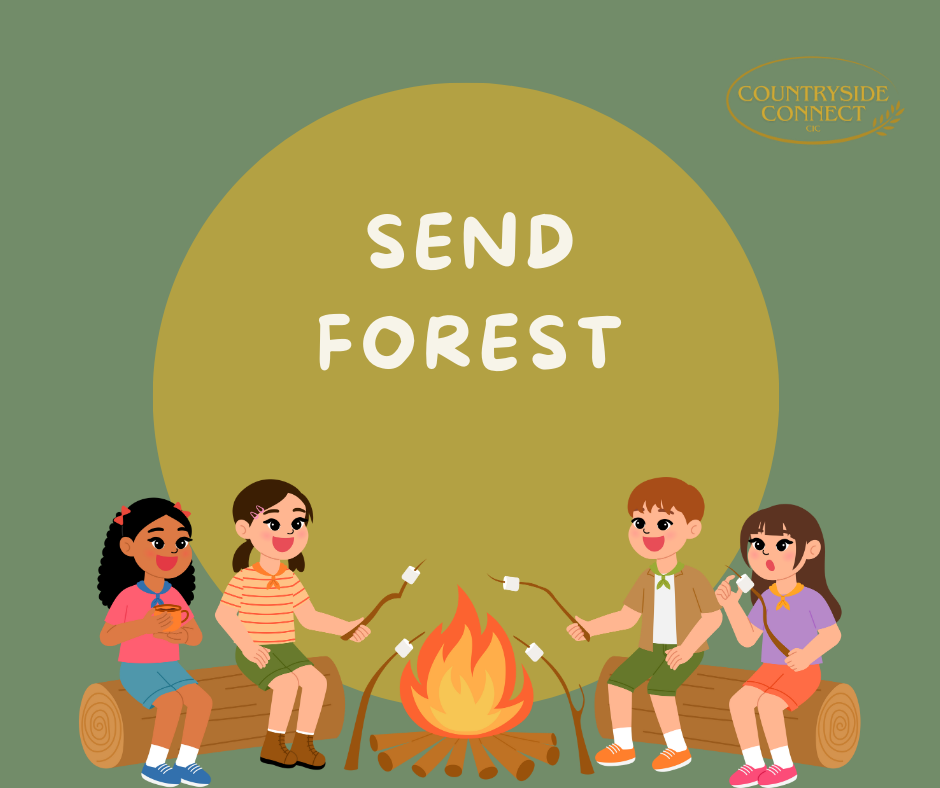 SEND | FOREST |