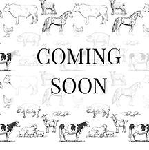 COMING SOON.jpg