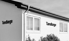 Skærmbillede 2026-01-25 kl. 22.29.31.png