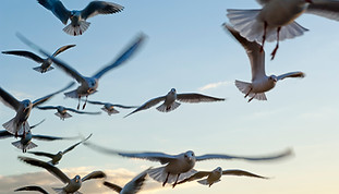 réserve du teich en vélo