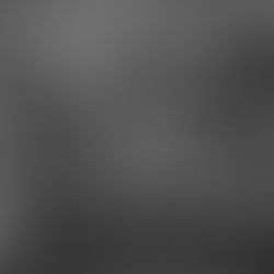 WWI: HONORING OUR HISTORY AND THE HARLEM HELLFIGHTERS