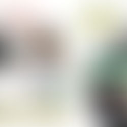 "I AM PRESS, I AM PRESS" New episode by Shaimaa Aly available today!