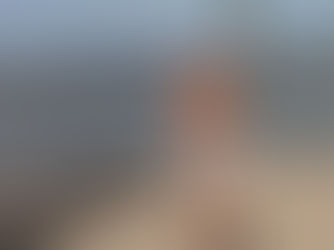 Evento: Excursão Barra do Ribeiro
Março 2004