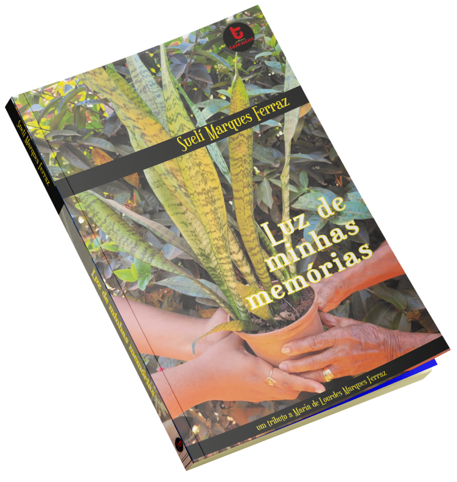 Luz de minhas memórias