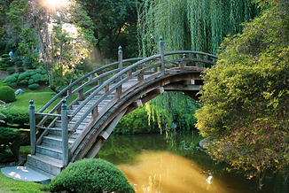 bridge-5466981_1920.png