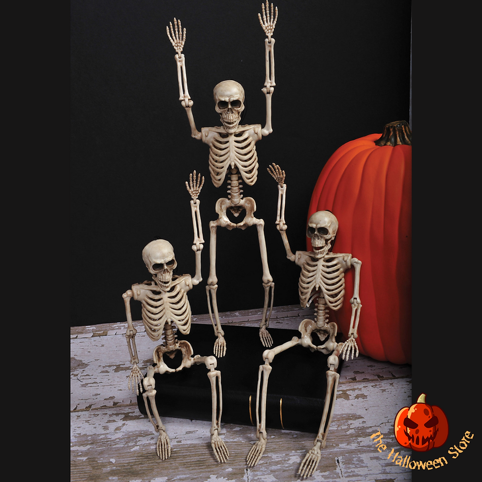 Thumbnail: Poseable Skeleton - 35cm