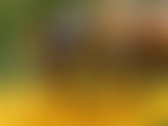 How Honey Bees Use Dance and Chemicals to Communicate: Unlocking the Mystery of their Language