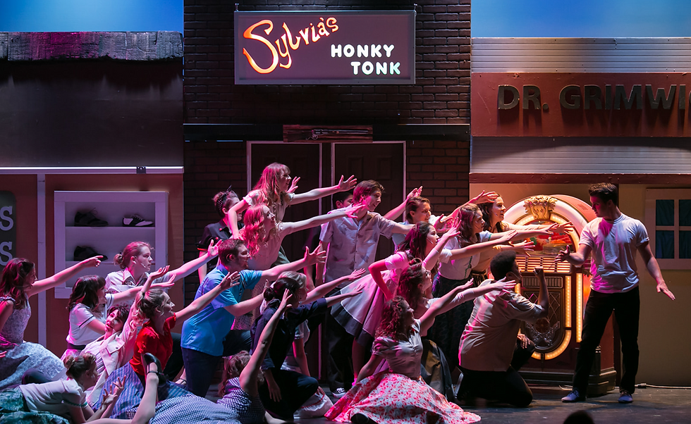 Sylvia Honky Tonk Sign
