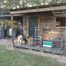 Brigg and Boone