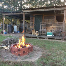 The Pallet Cabin