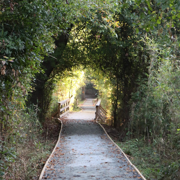 Trail Life!