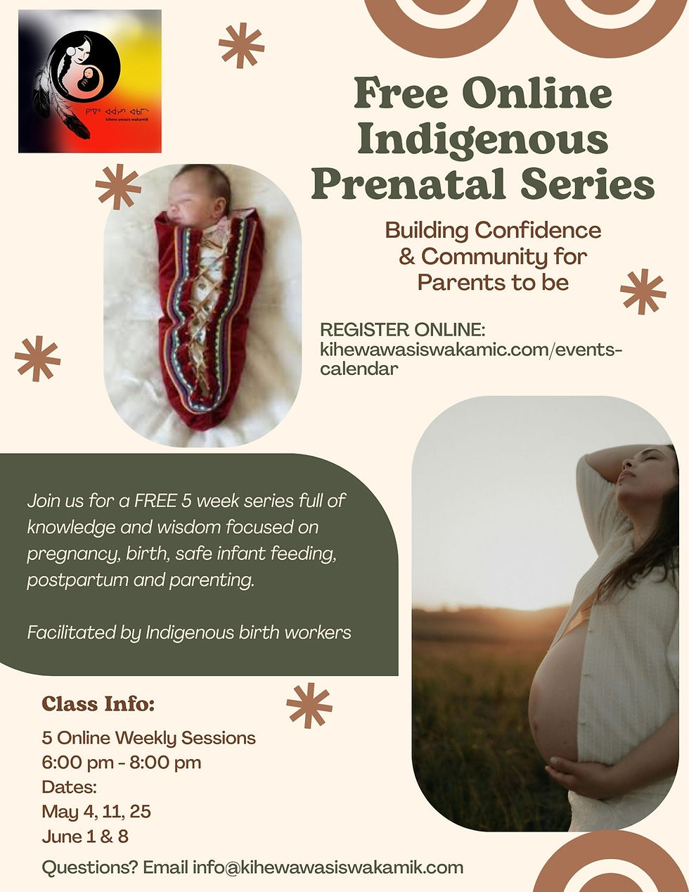 Online Indigenous Prenatal Series