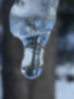 Treecicle
